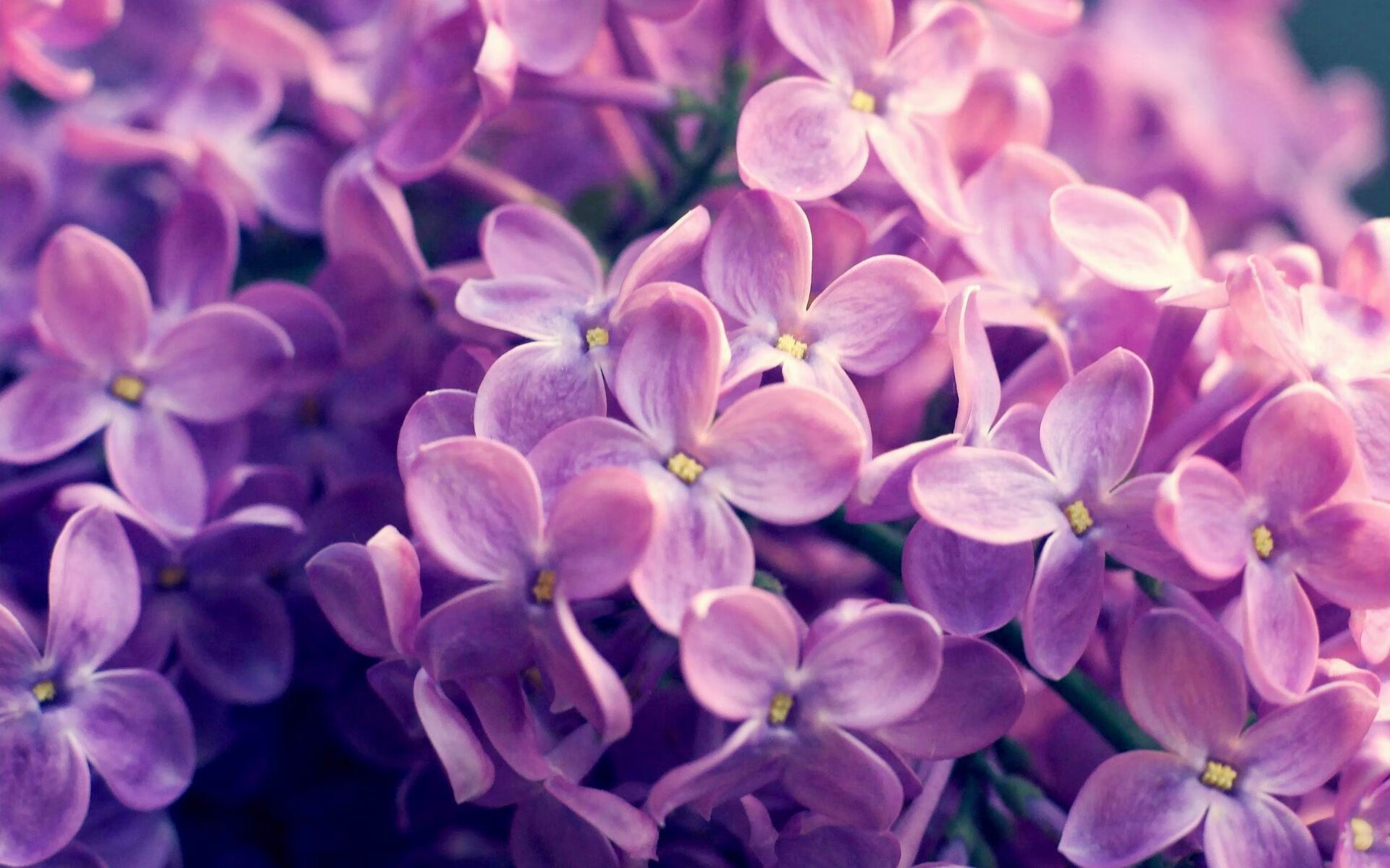 开云平台-_东亚杯网球联赛：区域争霸赛点燃热情_，东亚杯大名单