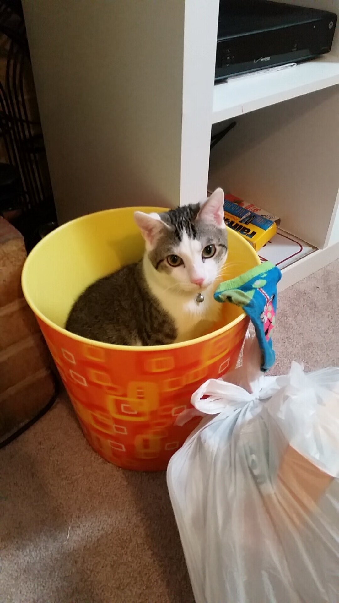 “无限可能：新秀球员的巅峰表现”，新秀能拿mvp吗