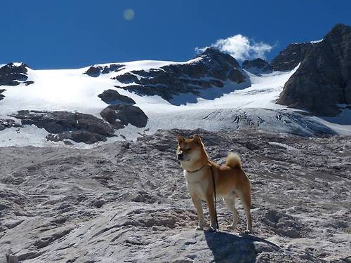 “逆境求生”战术在欧冠中的奇效