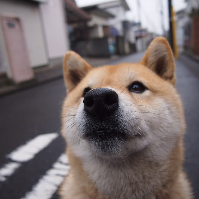 开云体育入口-全国范围内推行“足球+健康+素养”的行业创新方法，足球产业化