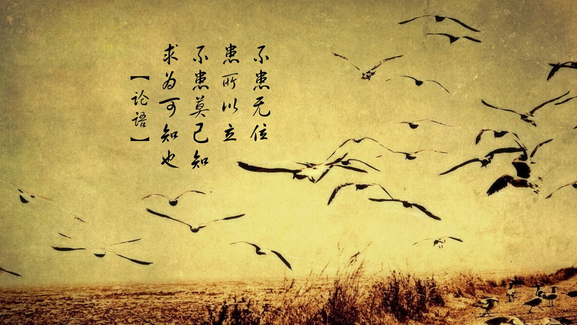 湖人逆转取胜,詹姆斯表现全场最佳,詹姆斯率领湖人夺冠