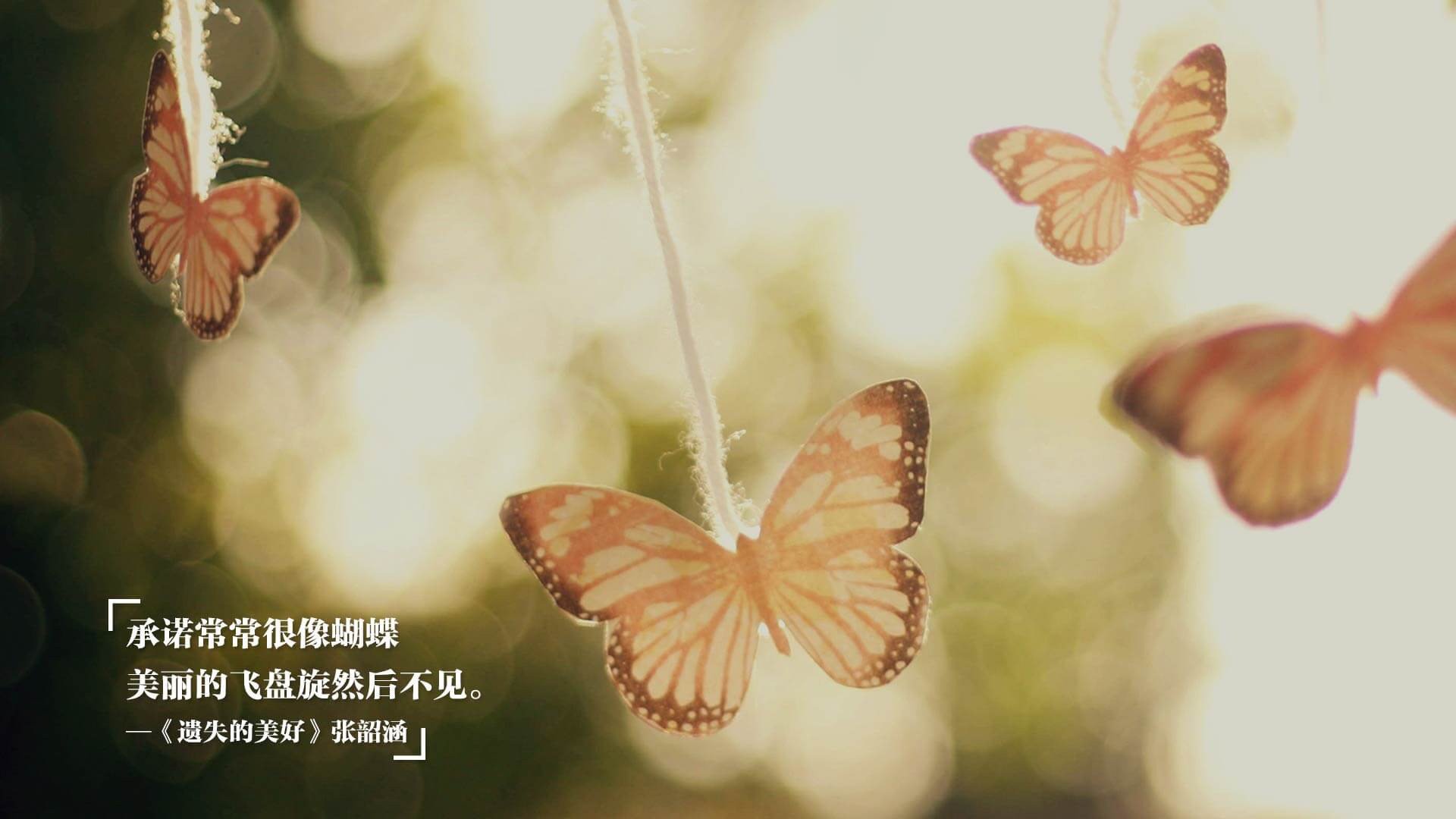 开云体育平台-篮球俱乐部培养体系不断升级，篮球俱乐部制度