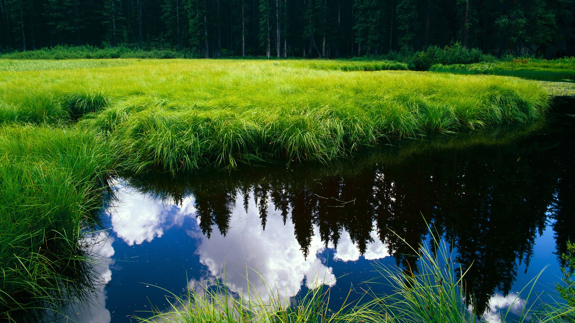 开云体育娱乐-足球青训教练考核标准统一出台，足球青训教练考核标准统一出台了吗