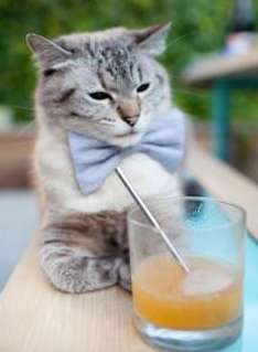 LCK冠军争夺战即将打响，lck冠军数量排名