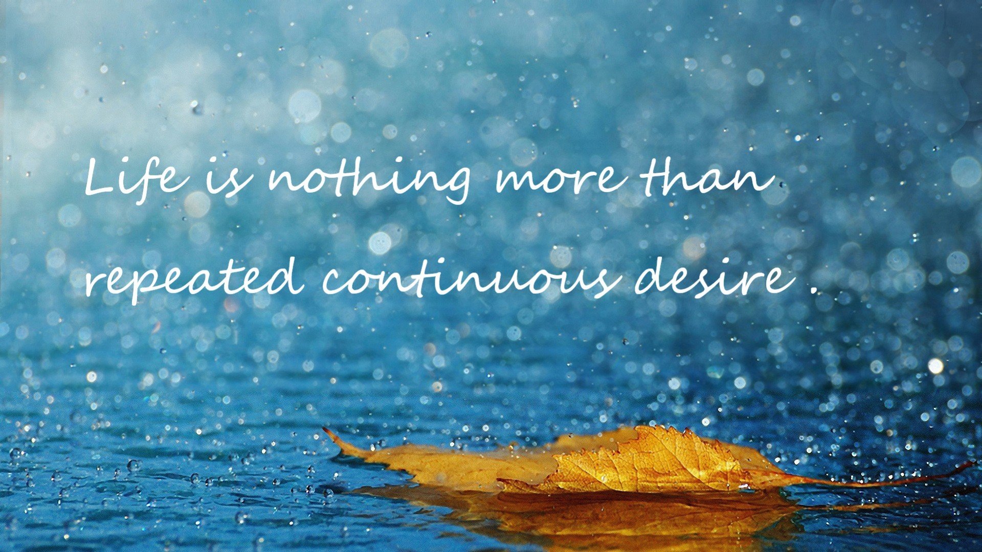 开云综合服务-《伦纳德表现出色，带领球队拼搏至最后一刻》，伦纳德霸气