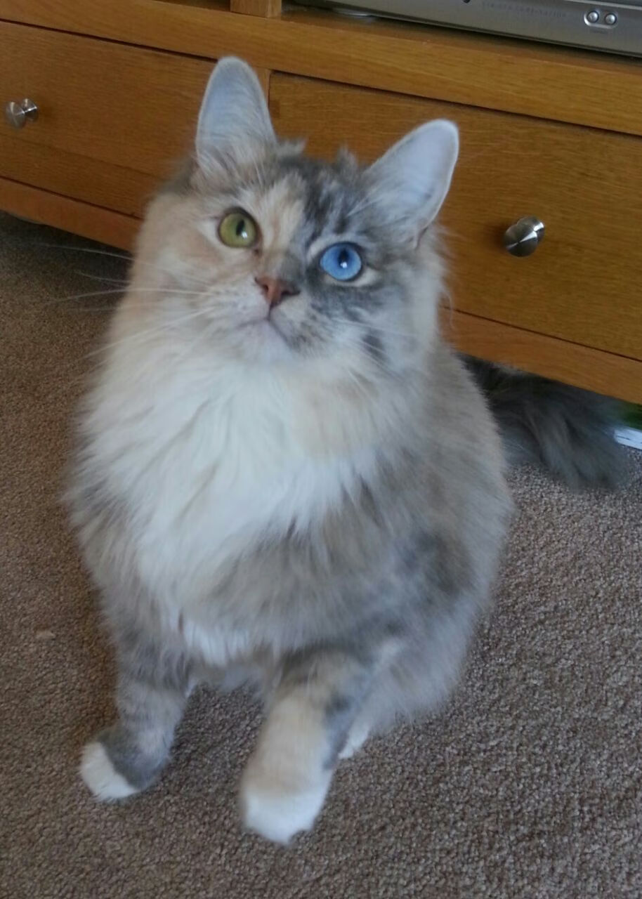 开云品牌-国足青年球员海外留洋效果显著，国足十大留洋球员