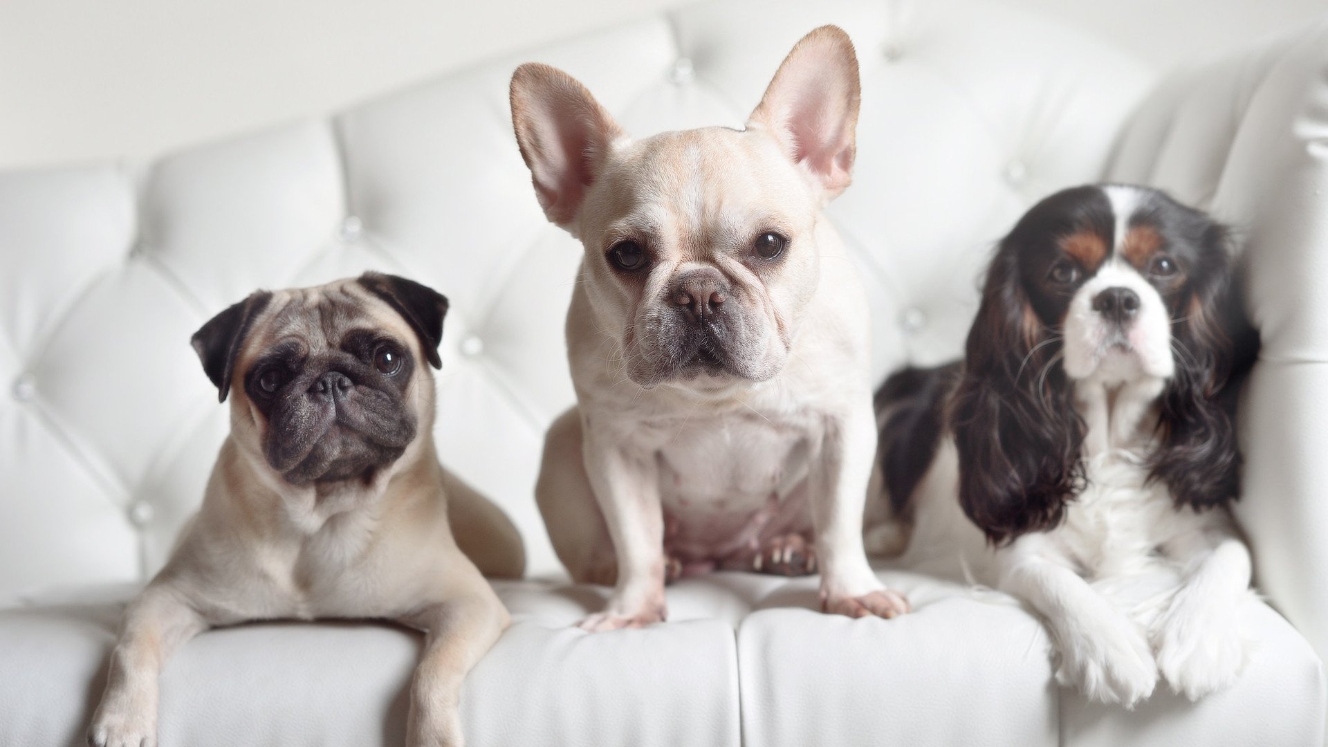 开云权威入口-国足防守稳定，失球率显著下降，国足防守稳定,失球率显著下降的原因