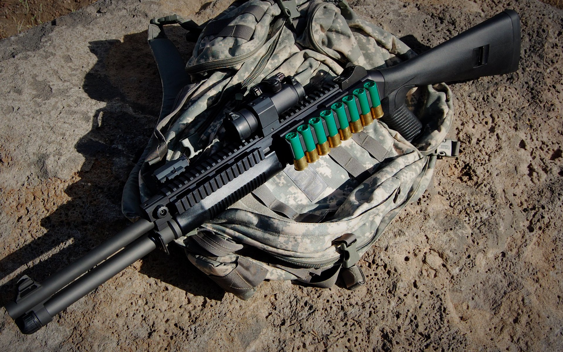 官方马术国际邀请赛裁判阵容，马术裁判证怎么考