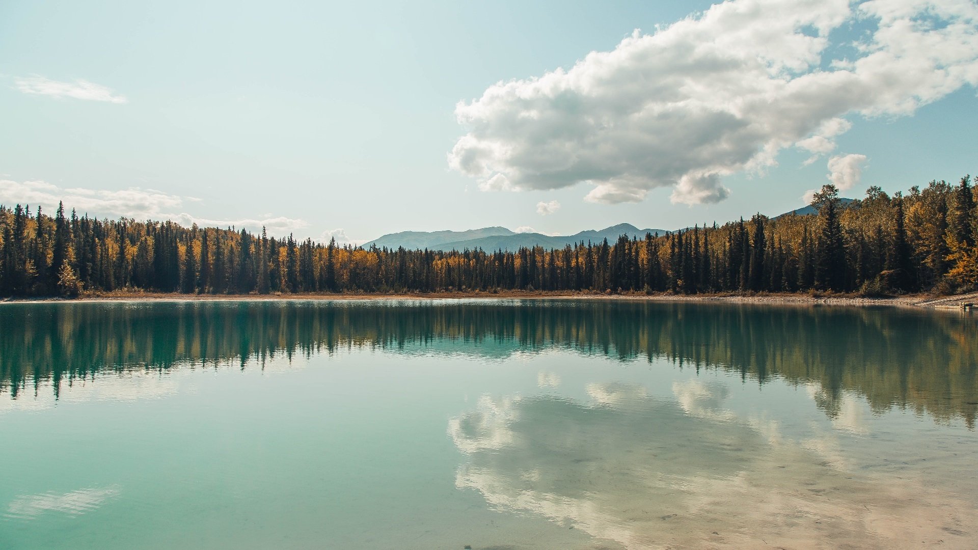 开云官方平台-某队在大赛中披荆斩棘，最终夺得荣耀，某队比赛结束后,队员两两拥抱庆祝胜利,共拥抱55次