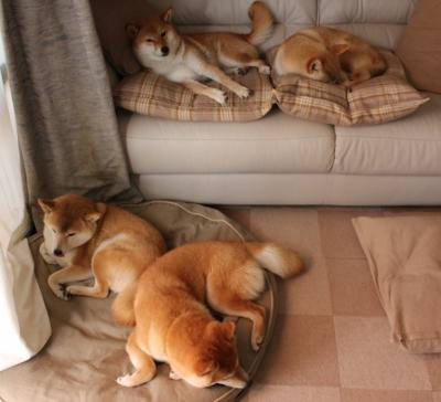 某队在大赛中披荆斩棘,最终夺得荣耀,某队比赛结束后,队员两两拥抱庆祝胜利,共拥抱55次