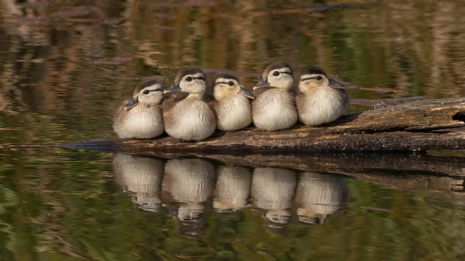 球员技术单一是否因训练体系结构僵化,球员对训练不满