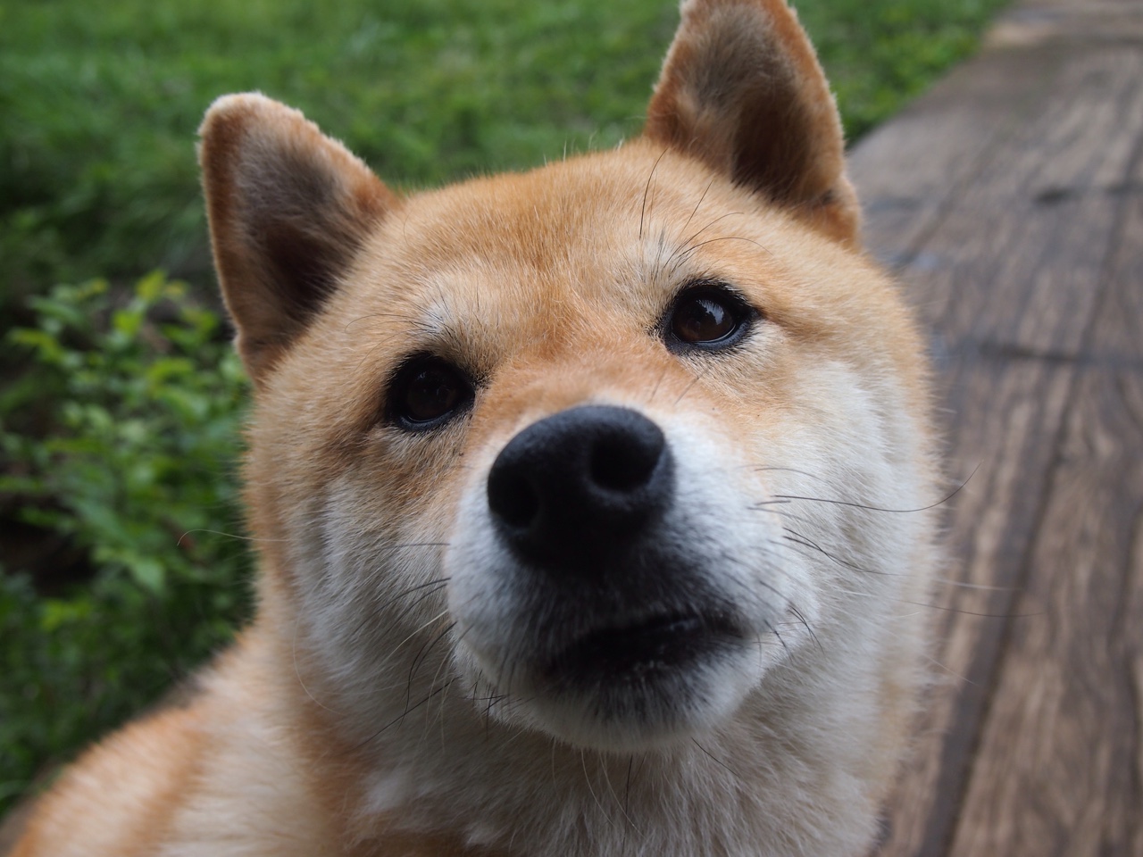 中国篮球联赛球队战术体系动态调整与实战效果分析，篮球队战术图