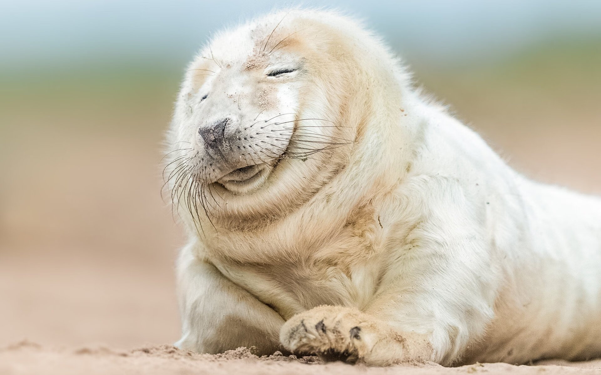 体育场馆智能安防系统设计与实施研究，体育场馆智能化管理