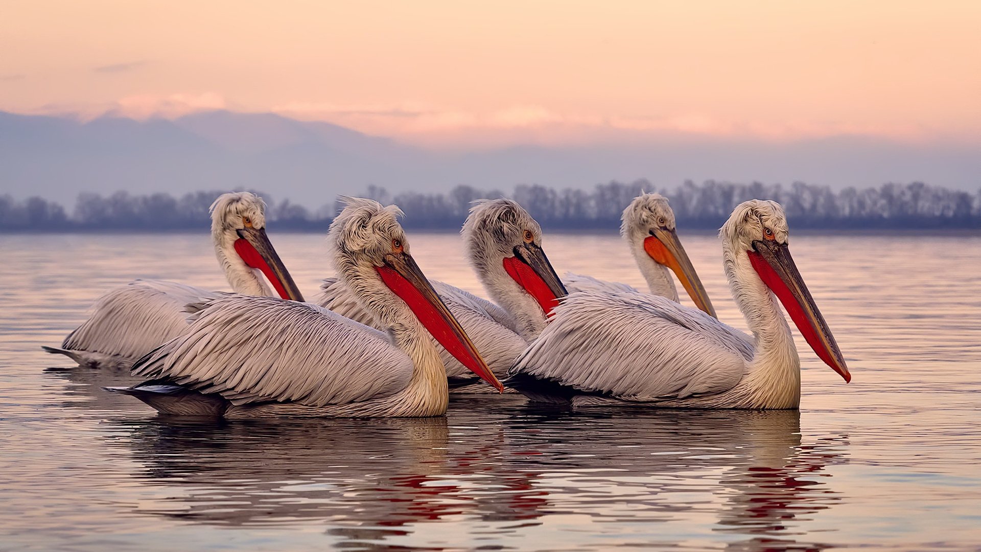 开云在线直播-德甲球队高强度对抗期间体能消耗与技术表现关联，德甲防守最好的球队