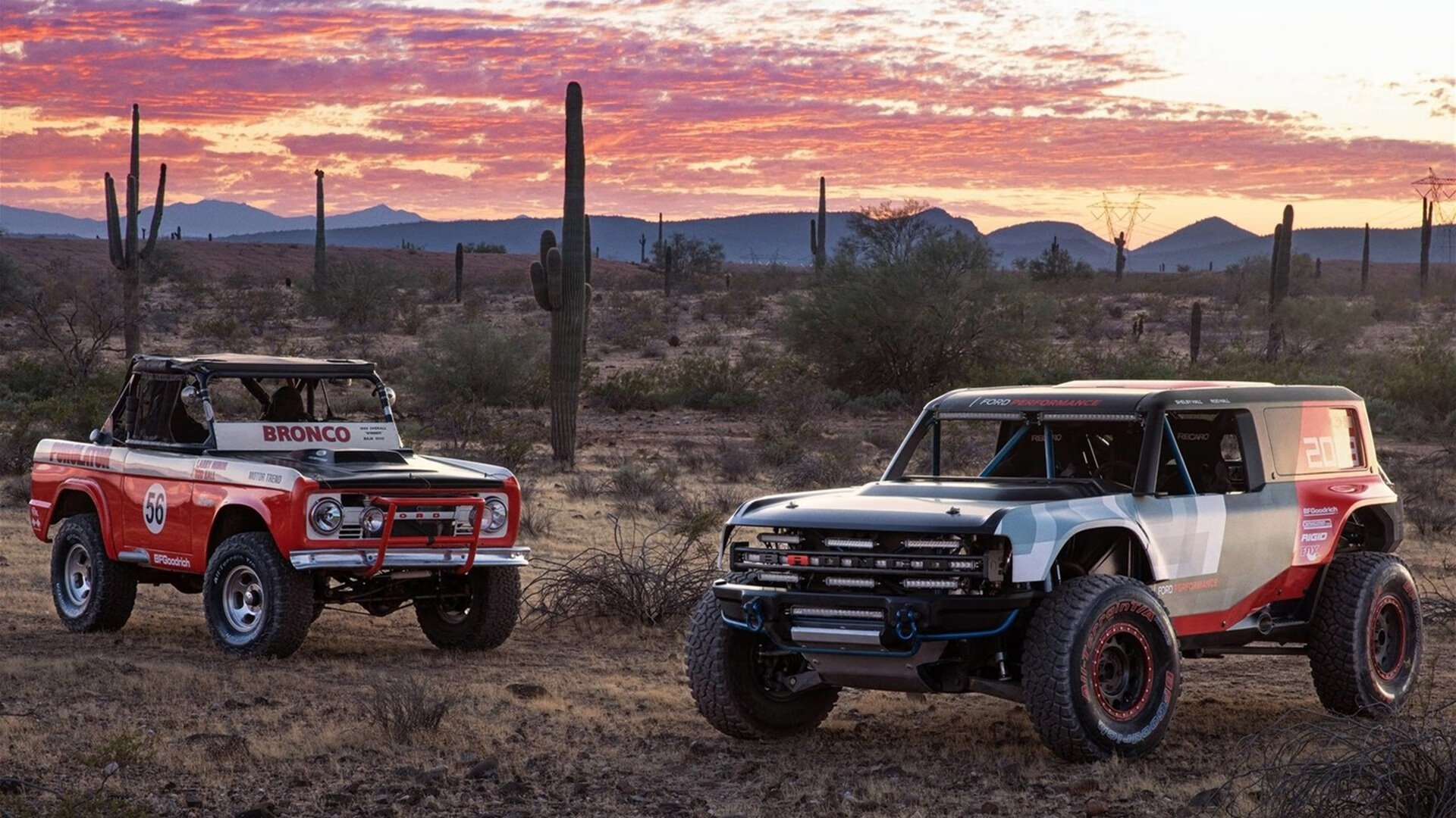 校园足球技能展示日活动引发学生广泛关注与参与，足球技能展示展示什么好