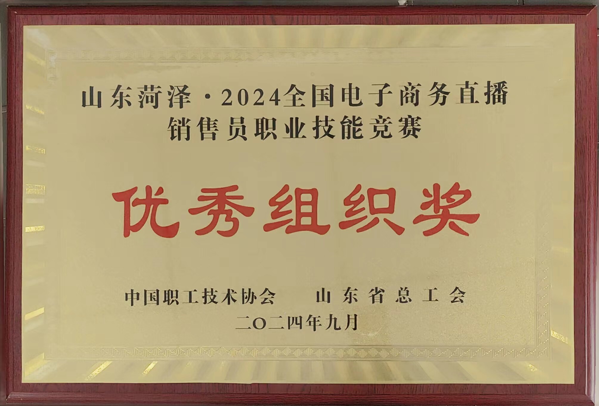 各大赛事的荣誉与业绩分析