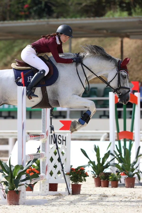 马术障碍赛：人马合一的完美表现