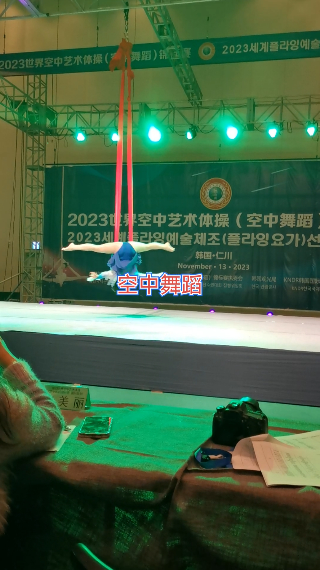 关于艺术体操世界锦标赛：美与力的协调的信息